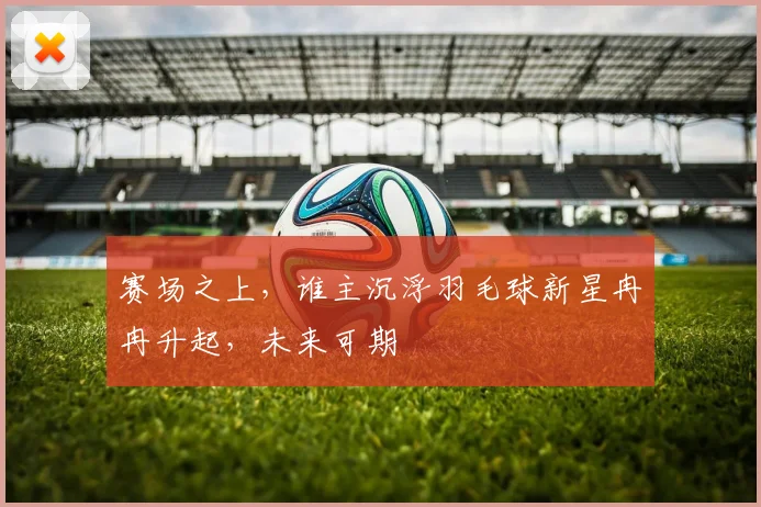 赛场之上，谁主沉浮羽毛球新星冉冉升起，未来可期