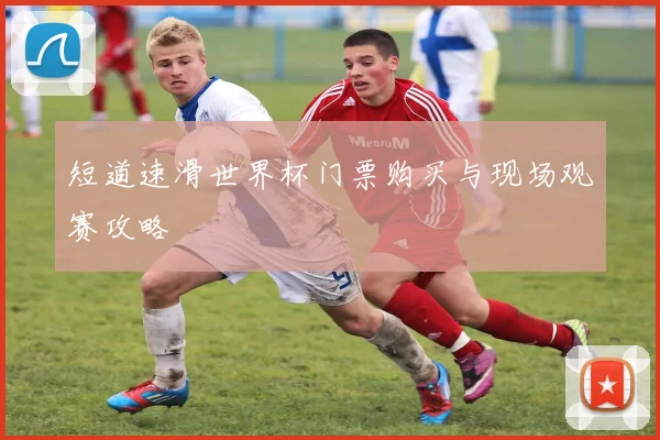 短道速滑世界杯门票购买与现场观赛攻略